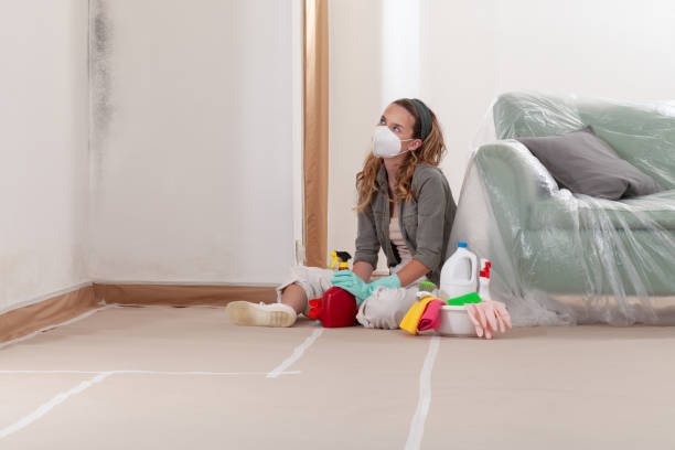 Reliable Mold Removal contractor in Harrison, NJ by Mold Remediation HQ